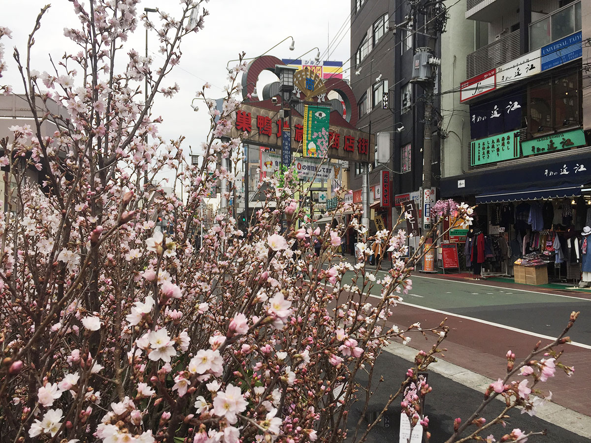 巣鴨地蔵通り商店街