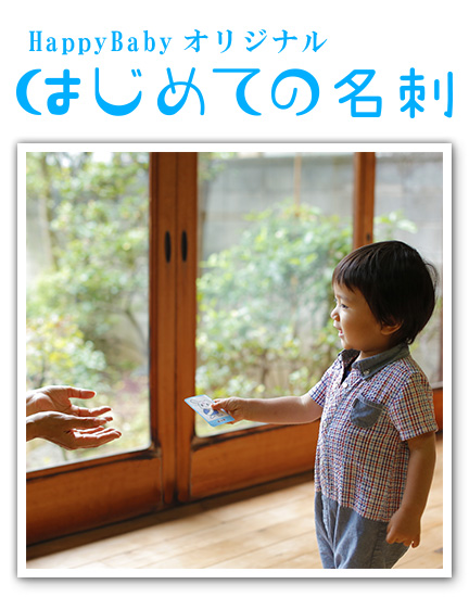 みずのオリジナル　選びとリカードの遊び方